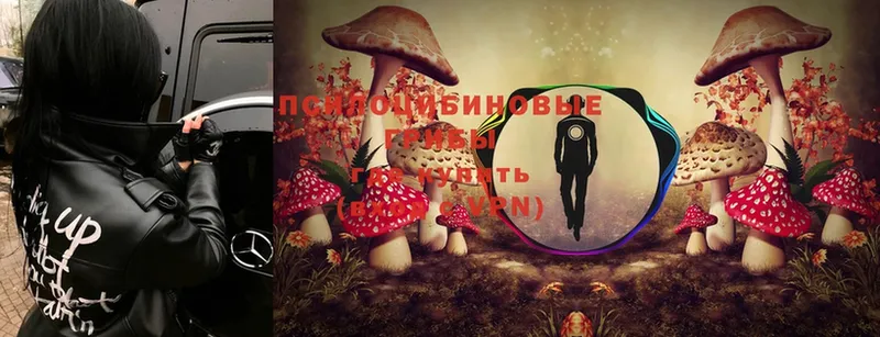 Галлюциногенные грибы Cubensis  купить закладку  МЕГА рабочий сайт  мориарти формула  Урай 